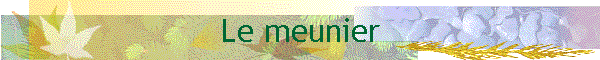 meunier
